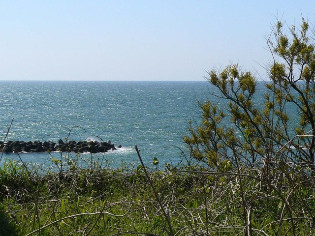 P1040311-1600.jpg