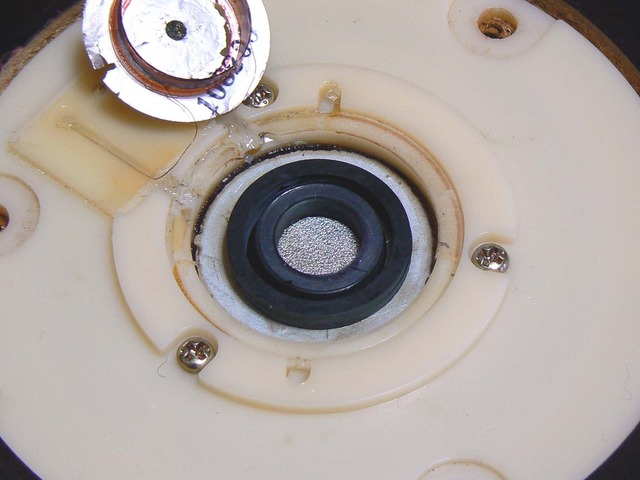 P1040328-1600.jpg