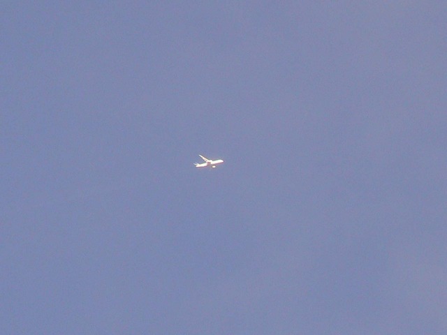 P1040331-1580.jpg
