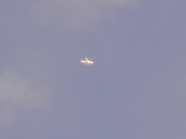 P1040335-1580.jpg