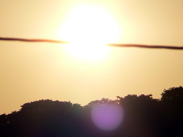 P1040337-1600.jpg
