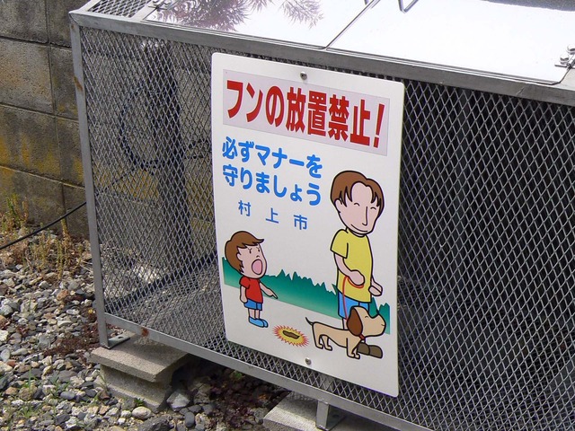 P1040338-1600.jpg