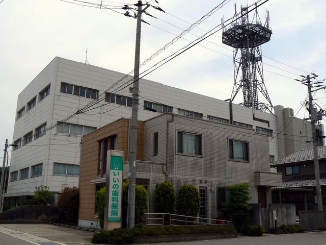 P1040345-1600.jpg