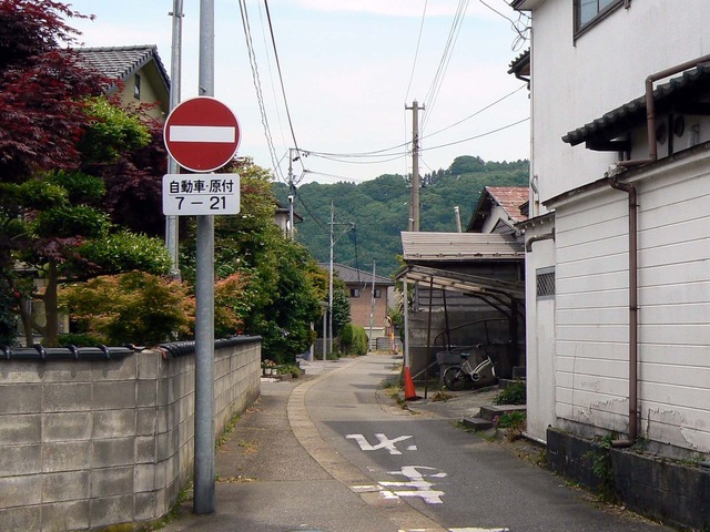 P1040348-1600.jpg