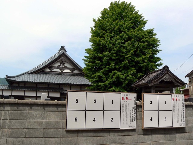 P1040354-1600.jpg