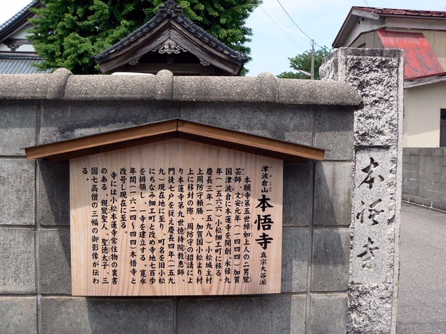 P1040357-1600.jpg