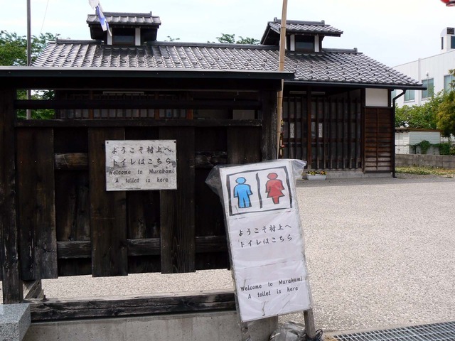P1040359-1600.jpg