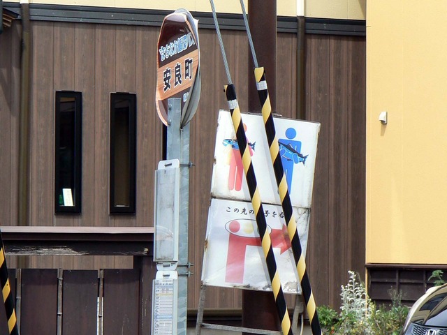 P1040362-1600.jpg
