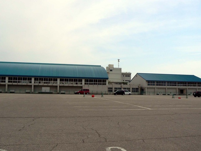 P1040388-1600.jpg