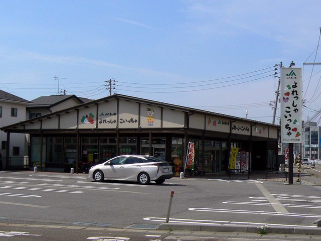 P1040410-1600.jpg