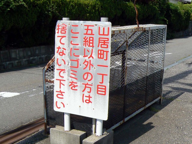 P1040413-1600.jpg