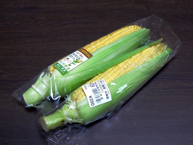 P1040561-1600.jpg