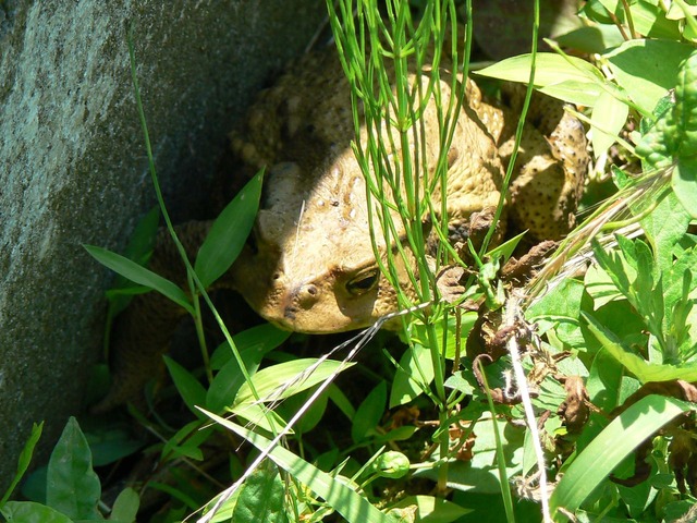 P1040650-1920.jpg