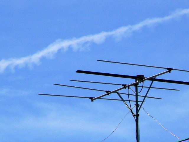 P1040730-1600.jpg