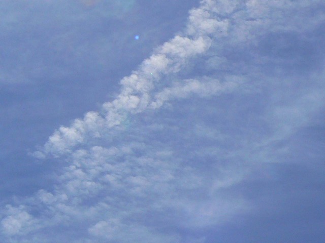 P1040732-1600.jpg