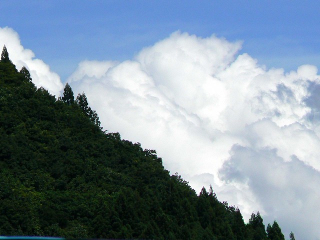 P1040734-1920.jpg