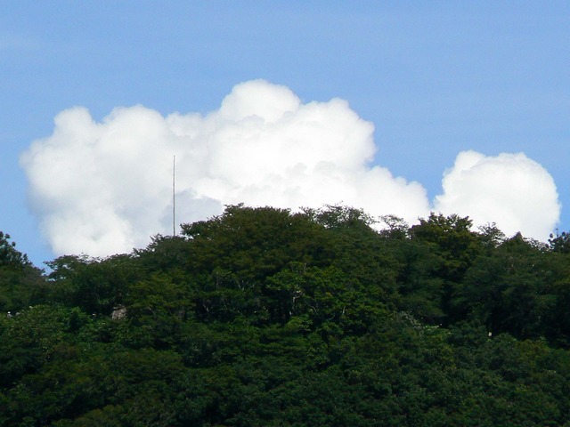 P1040737-1920.jpg
