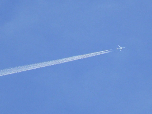 P1040741-1920.jpg