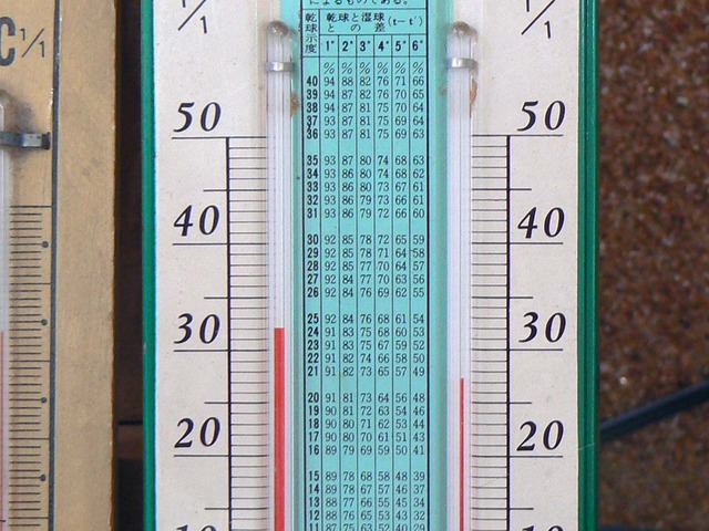 P1040801-1200.jpg