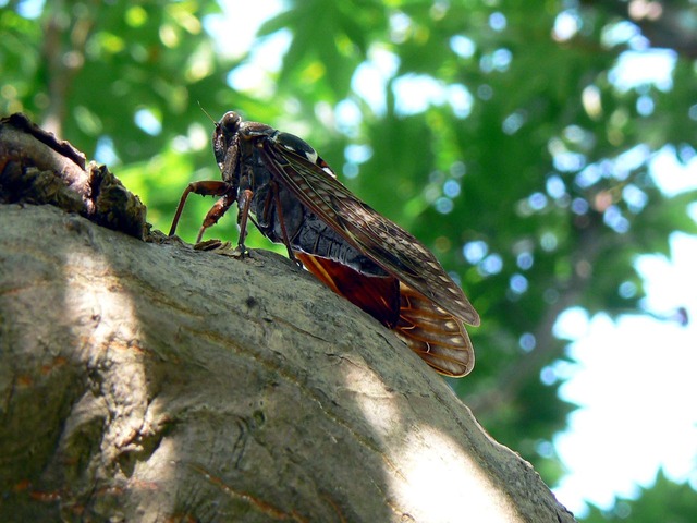 P1040867-1920.jpg