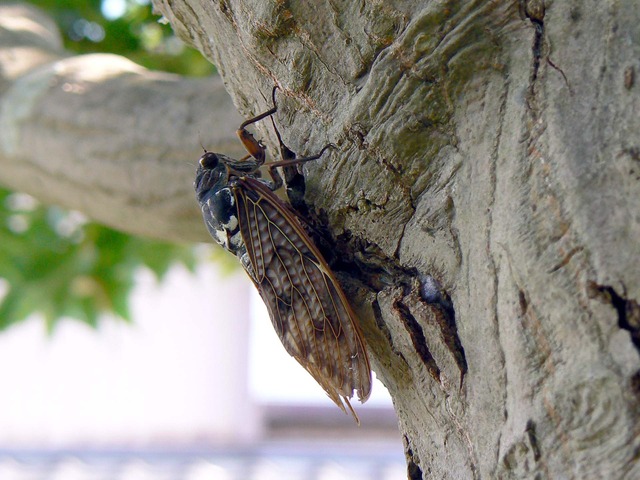 P1040875-1920.jpg