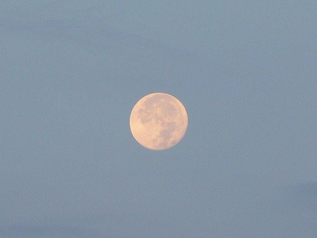 P1040984-1600.jpg