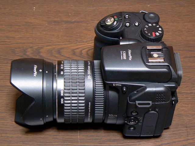 P1050115-1600.jpg