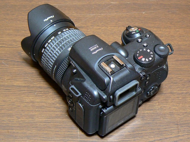 P1050116-1600.jpg