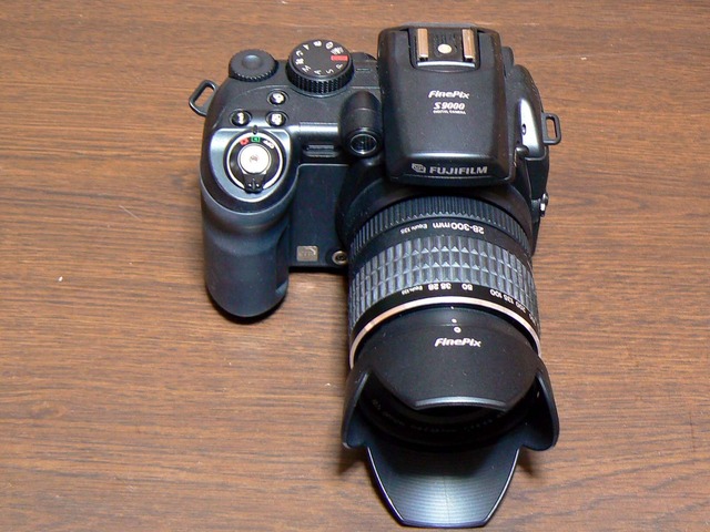 P1050118-1600.jpg