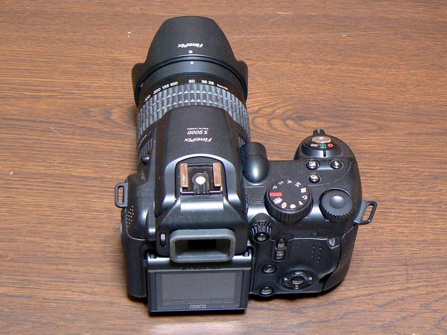 P1050119-1600.jpg