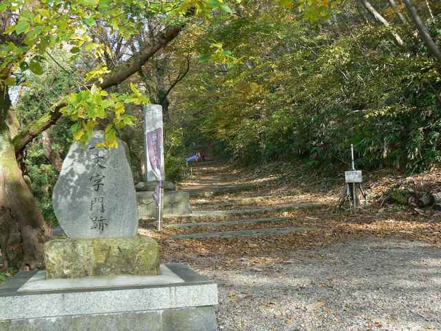 P1050246-1600.JPG