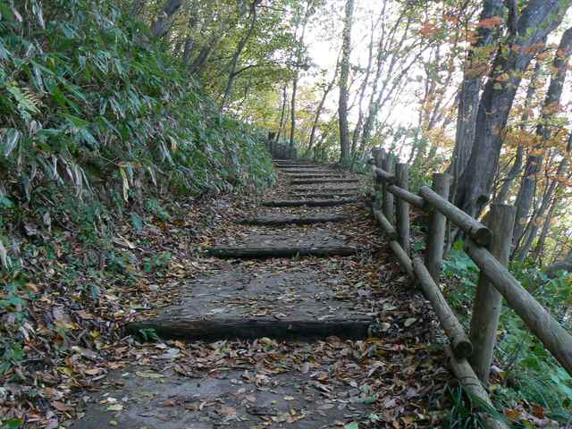 P1050255-1600.JPG