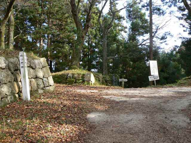 P1050260-1600.JPG