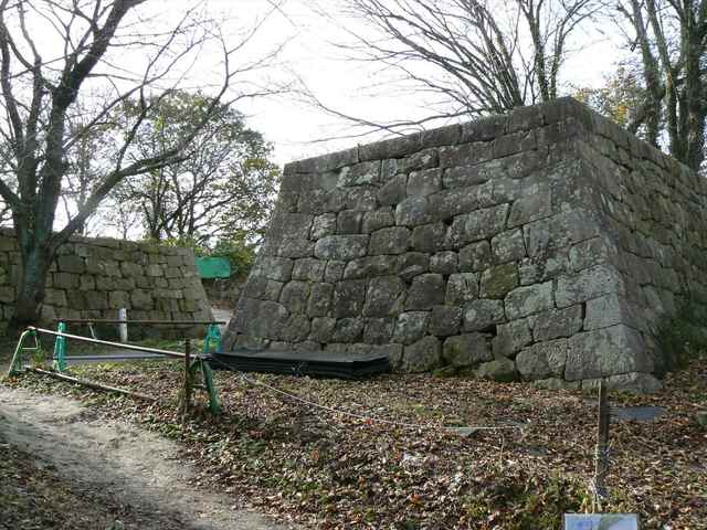 P1050262-1600.JPG