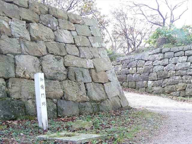 P1050264-1600.JPG