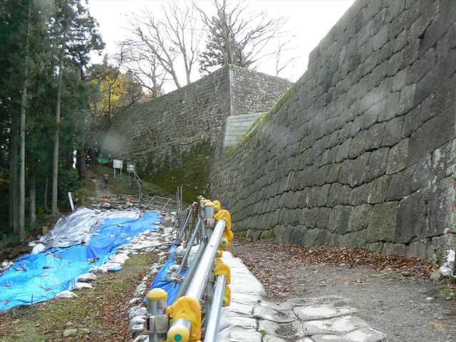 P1050271-1600.JPG