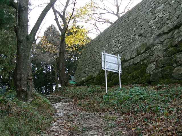 P1050274-1600.JPG
