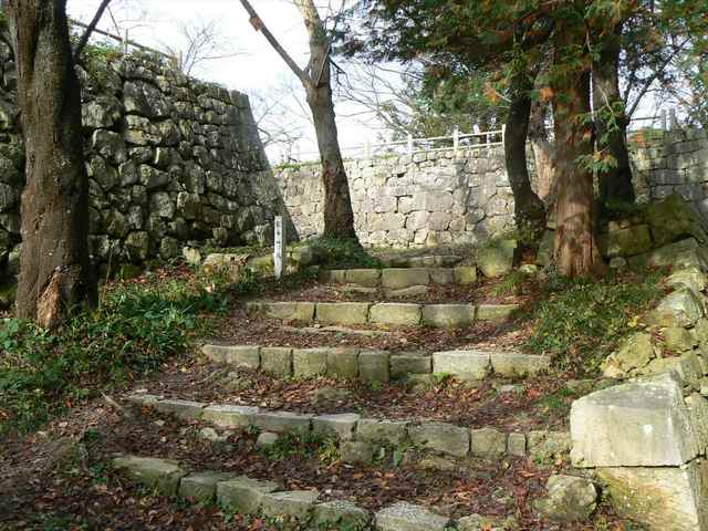P1050276-1600.JPG