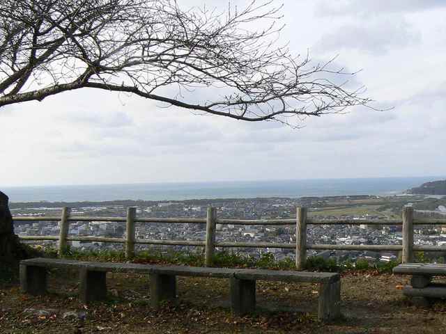 P1050280-1600.JPG