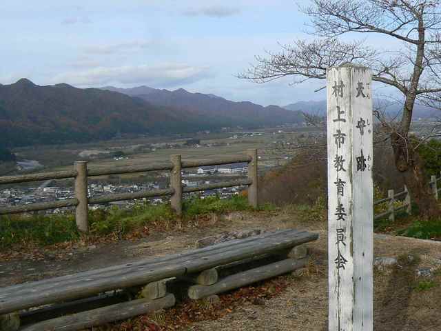 P1050311-1600.JPG