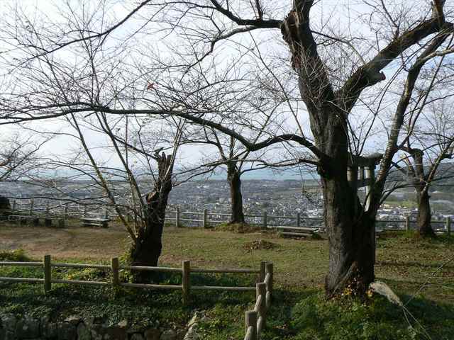 P1050327-1600.JPG