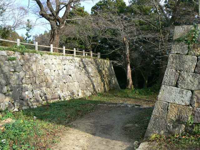 P1050346-1600.JPG