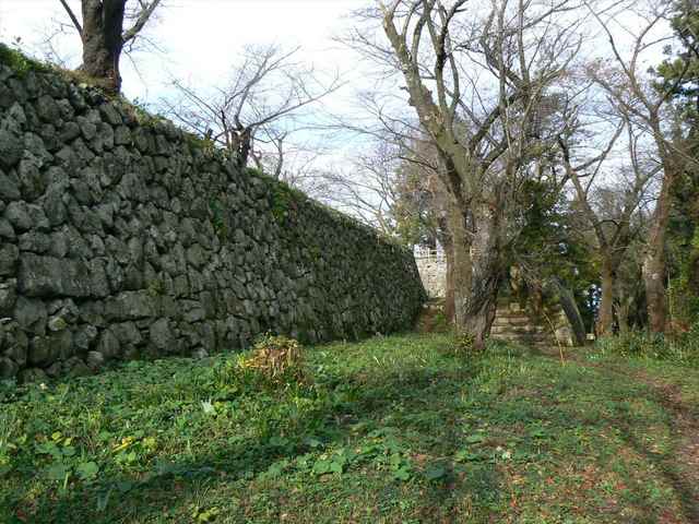 P1050350-1600.JPG