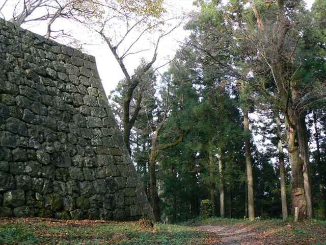 P1050364-1600.JPG