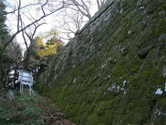 P1050378-1600.JPG