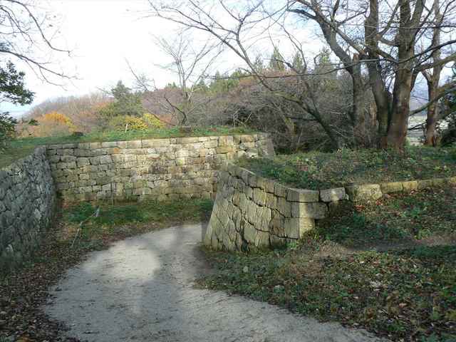 P1050387-1600.JPG