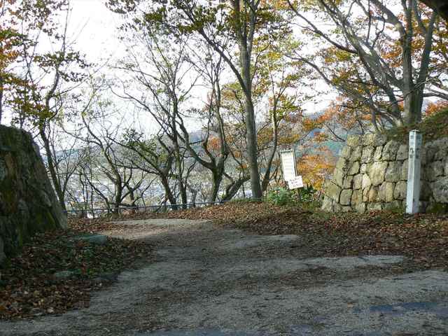 P1050390-1600.JPG