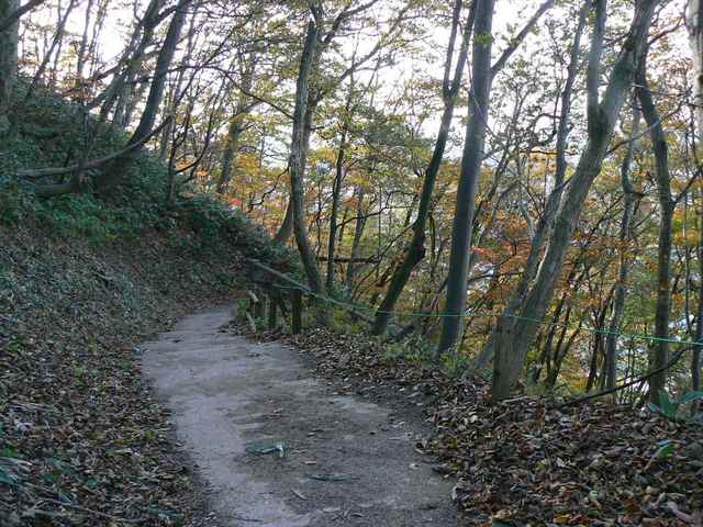 P1050392-1600.JPG