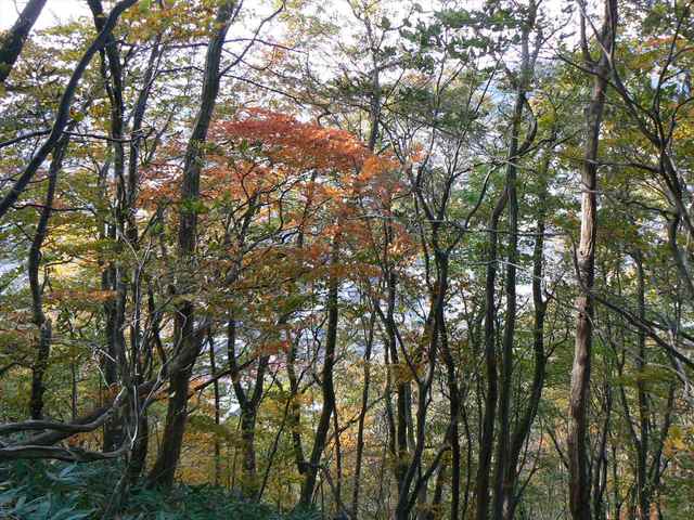 P1050395-1600.JPG