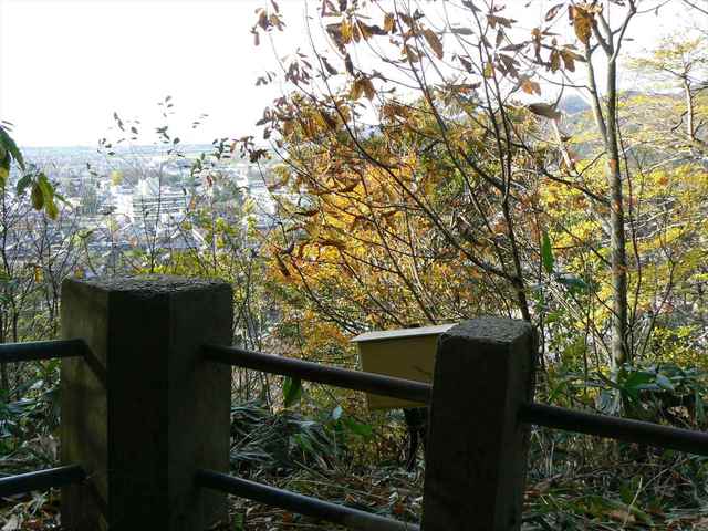 P1050396-1600.JPG